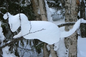 Снежные фигуры в лесу. Летняя Золотица
Фото Андрея Волкова